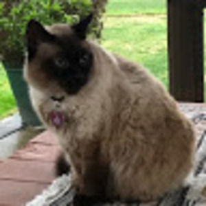 Meet your Posher, Khosrow